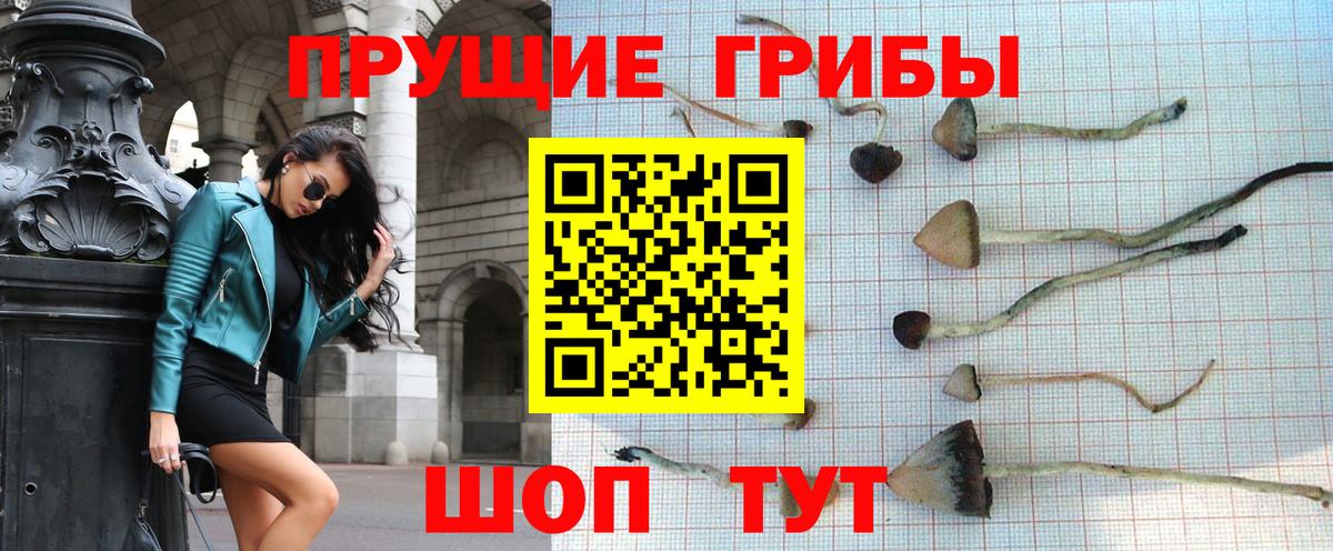 Галлюциногенные грибы ЛСД  Вход с VPN  Унеча  цены наркотик  Псилоцибиновые грибы GOLDEN TEACHER 